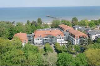 A sunny poolside scene features lounge chairs and umbrellas, palm trees lining the edge, and a serene view of the water.