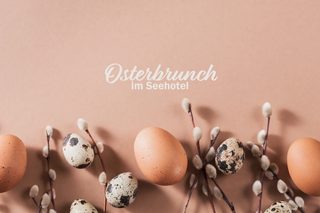 A beautifully plated dish features seared scallops topped with microgreens and garnishes, served on a vibrant green puree.