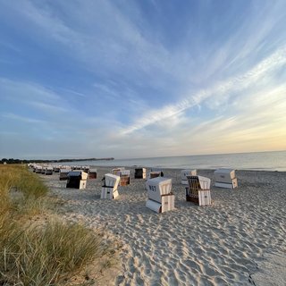 A man stands next to a vintage blue van and a tricycle outside a modern hotel entrance, featuring stylish architecture and greenery.