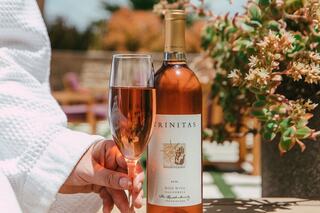A hand holds a glass of rosé wine next to a bottle labeled "Trinitas." Lush outdoor scenery adds a vibrant touch to the scene.