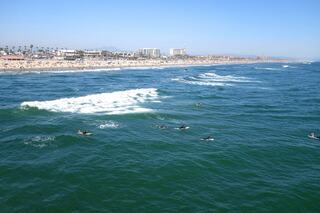 A sunny beach scene with surfers riding waves, sandy shores lined with palm trees, and a bustling seaside city in the background.